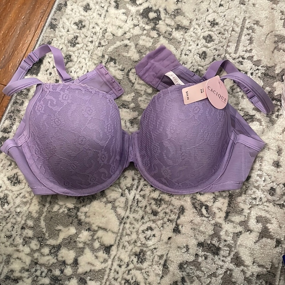 Lace lilac bra